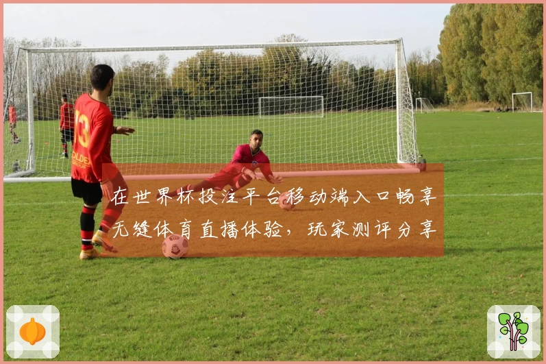 在世界杯投注平台移动端入口畅享无缝体育直播体验,玩家测评分享使用心得