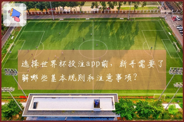 选择世界杯投注app前，新手需要了解哪些基本规则和注意事项？