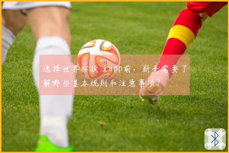 选择世界杯投注app前，新手需要了解哪些基本规则和注意事项？