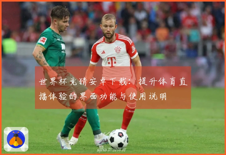 世界杯竞猜安卓下载:提升体育直播体验的界面功能与使用说明