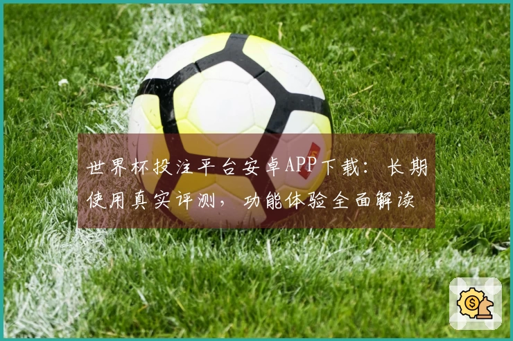 世界杯投注平台安卓APP下载：长期使用真实评测，功能体验全面解读