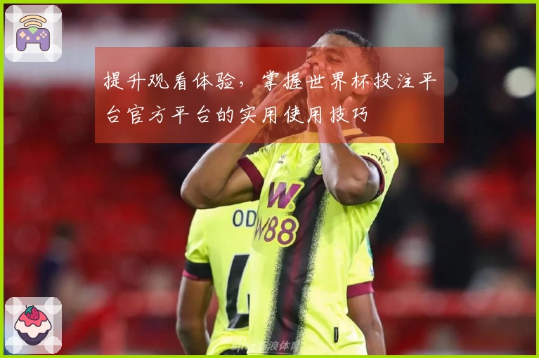 提升观看体验，掌握世界杯投注平台官方平台的实用使用技巧