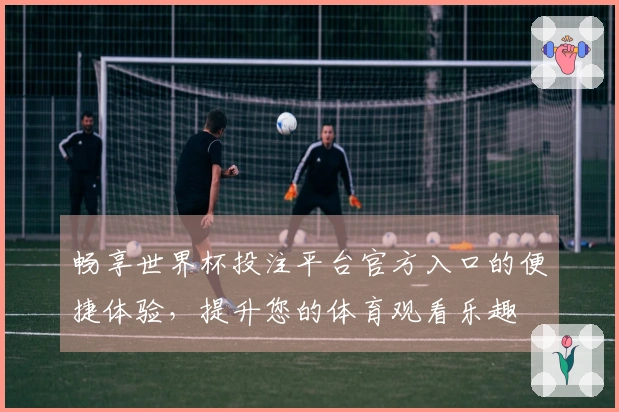 畅享世界杯投注平台官方入口的便捷体验,提升您的体育观看乐趣