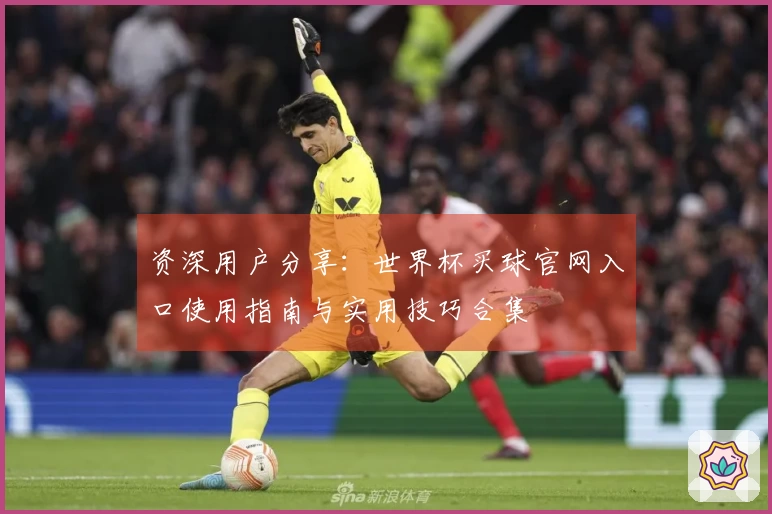 资深用户分享:世界杯买球官网入口使用指南与实用技巧合集