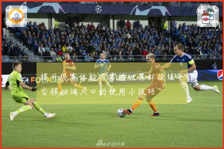 提升观赛体验，掌握世界杯投注平台移动端入口的使用小技巧