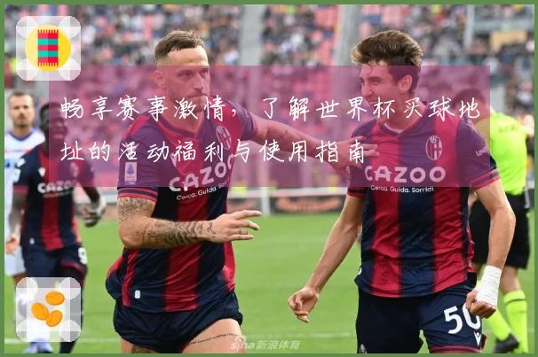 畅享赛事激情，了解世界杯买球地址的活动福利与使用指南