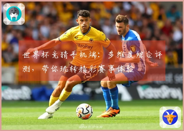 世界杯竞猜手机端：多维度综合评测，带你玩转精彩赛事体验