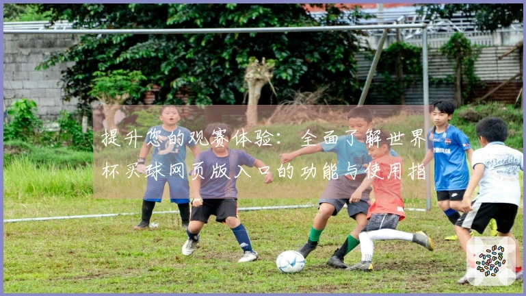 提升您的观赛体验：全面了解世界杯买球网页版入口的功能与使用指南