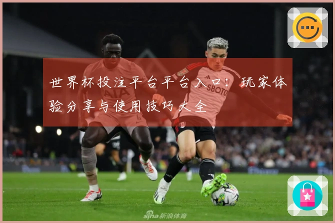 世界杯投注平台平台入口：玩家体验分享与使用技巧大全