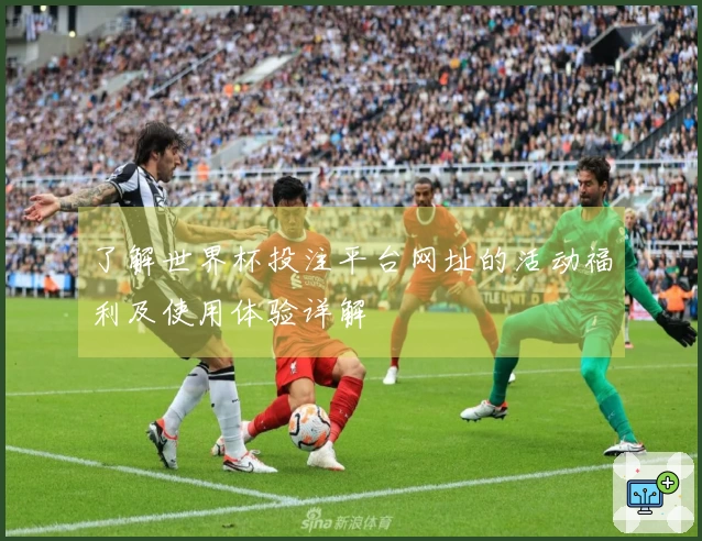 了解世界杯投注平台网址的活动福利及使用体验详解