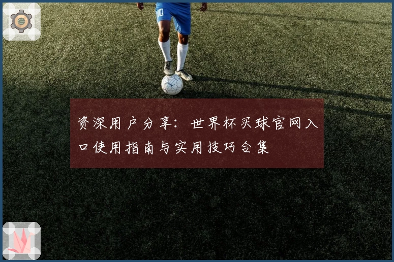 资深用户分享：世界杯买球官网入口使用指南与实用技巧合集