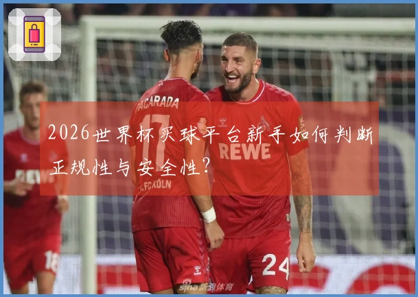 2026世界杯买球平台新手如何判断正规性与安全性?
