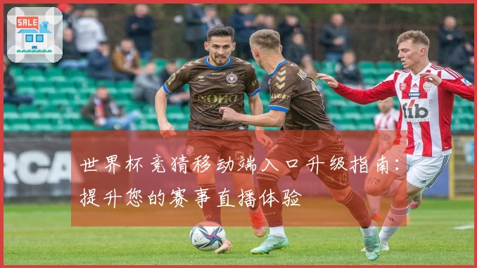 世界杯竞猜移动端入口升级指南：提升您的赛事直播体验