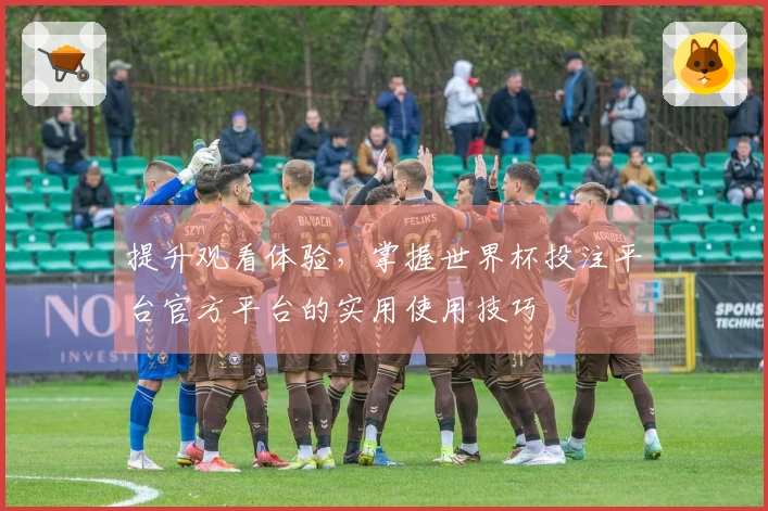 提升观看体验，掌握世界杯投注平台官方平台的实用使用技巧