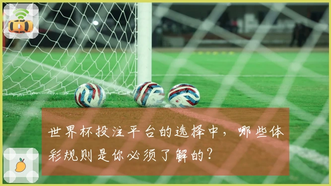 世界杯投注平台的选择中，哪些体彩规则是你必须了解的？